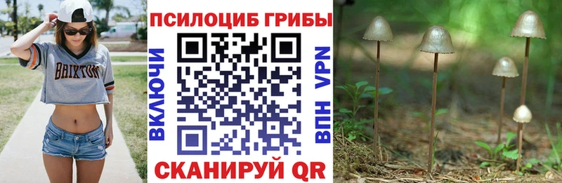 Галлюциногенные грибы мицелий Аша