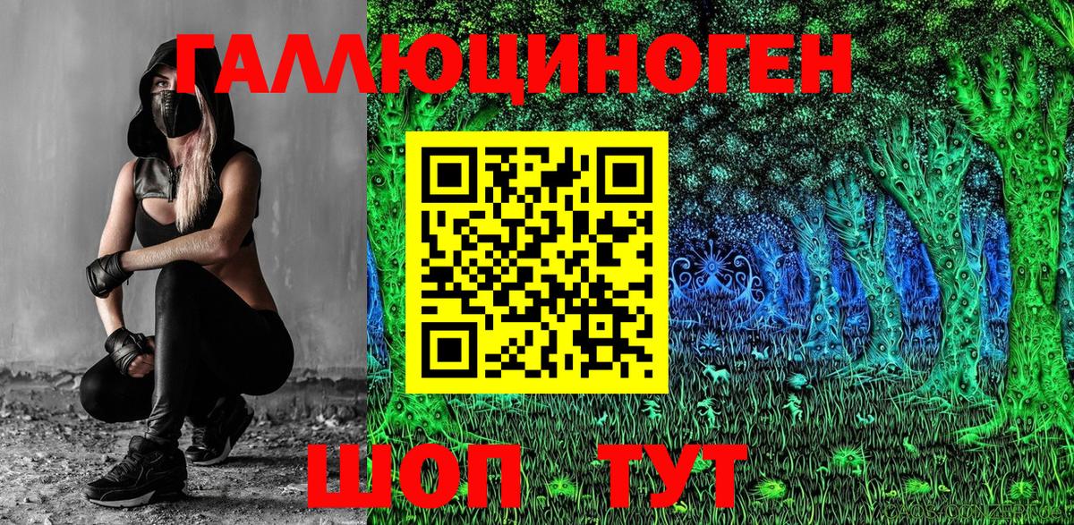 Псилоцибиновые грибы Psilocybine cubensis Аша